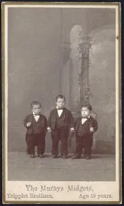 Matching Clothes Prints: The Murays Midgets, triplets, 19 years old, photograph by Charles B. Eisenmann, circa 1880