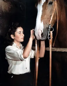 1944 Movies Prints: NATIONAL VELVET, Elizabeth Taylor, 1944