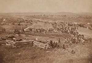 Food Prints: Native Americans shooting US government supplied cattle at Standing Rock Reservation