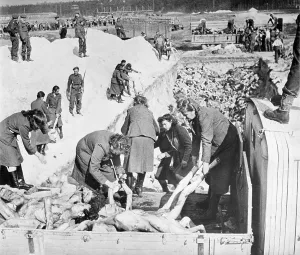 Guards Prints: Nazi SS women guards remove victims bodies from a truck during burial at Belsen Concentration Camp