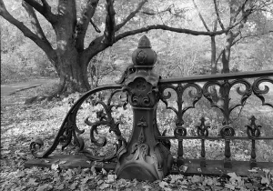 Central Park Prints: New York City, Central Park, bridge #27