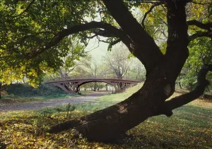 Path Prints: New York City, Central Park's Gothic Arch