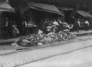 Train Tracks Prints: New York City, garbage collector's strike
