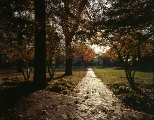 Images Dated 28th December 2007: New York City, Governor's Island, view of Nolan Park in autumn; 1982