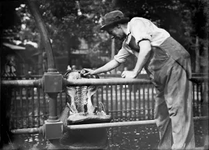 Central Park Prints: New York City, man feeding a hippo, Central Park, circa 1910s