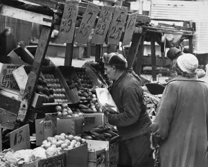 Fruit Stand Prints: New York City, Vendor selling produce from his pushcart at the Belmont Avenue market