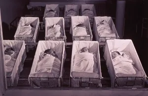 North Americans Prints: Newborns in the a nursery of Provident Hospital in Chicago