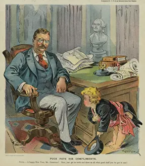 Office Prints: Newly inaugurated New York State Governor, Theodore Roosevelt, sitting in his office
