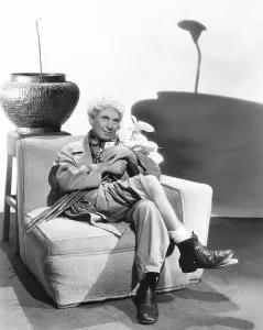 Images Dated 22nd January 2015: A NIGHT IN CASABLANCA, Harpo Marx, 1946