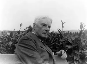 Images Dated 18th December 2007: Norman Douglas (1868-1952) photographed in Florence, Italy in 1935 by Carl Van Vechten