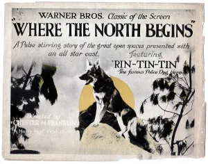 1923 Movies Prints: WHERE THE NORTH BEGINS, Rin Tin Tin, 1923