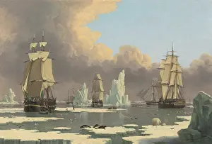 Lcgr1605 Prints: The Northern Whale Fishery: The Swan and Isabella