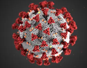 Illustration Prints: Novel Coronavirus SARS-CoV-2, causes coronavirus disease-2019