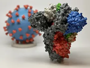 Self Replicating Prints: Novel Coronavirus SARS-CoV-2, causes coronavirus disease-2019