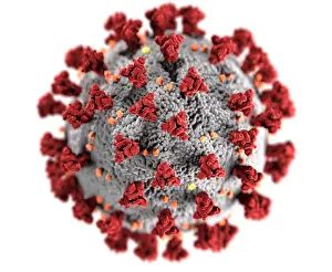 Illustration Prints: Novel Coronavirus SARS-CoV-2, causes coronavirus disease-2019