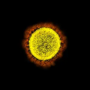 Digital Image Prints: Novel Coronavirus SARS-CoV-2, the virus that causes COVID19