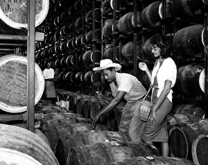 Images Dated 29th March 2007: Oak casks of Jamaican Rum. ca 1960s. Courtesy: CSU Archives/Everett Collection