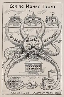 THE OCTOPUS-'ALDRICH PLAN, THE COMING MONEY TRUST