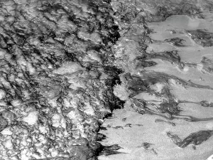 Beach Prints: Oil washing up on the shores of Lake Erie