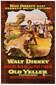Disney Prints: OLD YELLER, from left: Old Yeller, Tommy Kirk, Kevin Corcoran, Dorothy McGuire, 1957