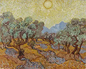 Impressionism Prints: Olive Trees, 1889, by Vincent van Gogh