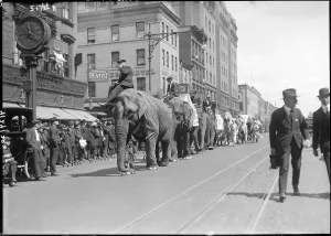 Boardwalk Prints: Overalls 'Circus Parade'