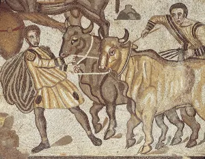Sicily Prints: Oxen transporting water. ITALY