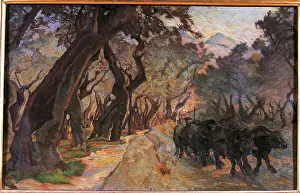 Large Group Of Animals Prints: Oxes Among Olive Trees, by Unknown Artist