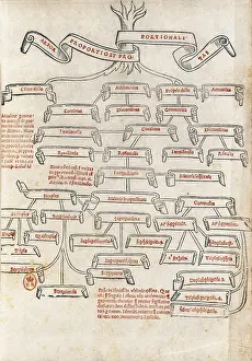 Arezzo Prints: PACIOLI, Luca (1445-1510). Italian mathematician an clergyman