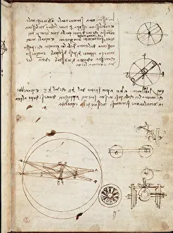 Circle Prints: Page from the Codex regarding the Flight of Birds