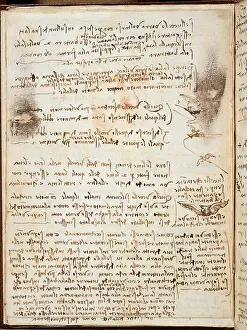 Handwriting Prints: Page from the Codex regarding the Flight of Birds