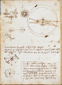 Codex Prints: Page from the Codex regarding the Flight of Birds
