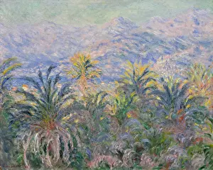 Coast Prints: Palm Trees at Bordighera, by Claude Monet