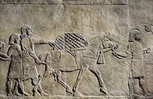 Iraqis Prints: Detail of a panel. Depiction of transport with horses