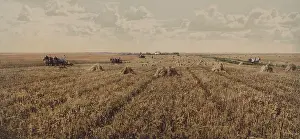Road Prints: Panoramic view of wheat fields in the American Midwest