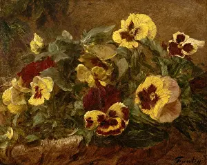Blooms Prints: Pansies, by Henri Fantin-Latour, 1903, French impressionist painting, oil on canvas