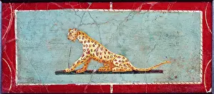 Expectation Prints: Panther, by unknown artist, 1-37