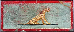 First Century Prints: Panther, by unknown artist, 1-37