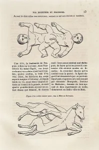 Healing Prints: PARE, Ambroise (1509-1590). 'Des Monstres et Prodiges' (On monsters and marvels)