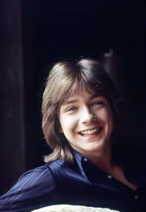 1970s Portraits Prints: THE PARTRIDGE FAMILY, David Cassidy, (1971), 1970-1974