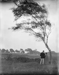 Rhode Island Prints: Pastoral, a view including W. Mason Turner and Hermine Kasebier