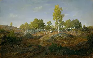 Spring Prints: A PATH AMONG THE ROCKS, by Theodore Rousseau