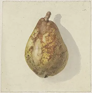 Square Prints: Pear, by Gerardina Jacoba van de Sande Bakhuyzen