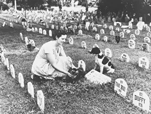 Cemetery Prints: Pet cemetery where more than 3