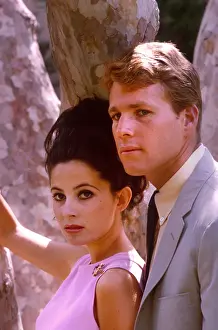 Ryan Prints: PEYTON PLACE, Barbara Parkins, Ryan O'Neal, 1964-1969