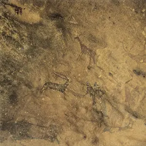 Prehistoric Prints: Phallic dance. Mesolithic art. Cave