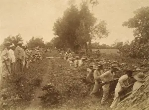 Aiming Prints: Philippine revolutionary soldiers fire in the trenches at Malate