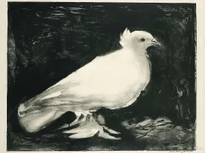 Picasso, Pablo (1881-1973). The Dove. 1949. Litography. SPAIN. Barcelona. Picasso Museum. AISA/Everett Collection - Image has fine art copyright