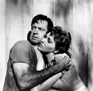 Novak Prints: PICNIC, from left: William Holden, Kim Novak, 1955
