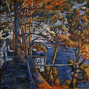Pine Prints: Pine Tree in Portofino, by Rubaldo Merello